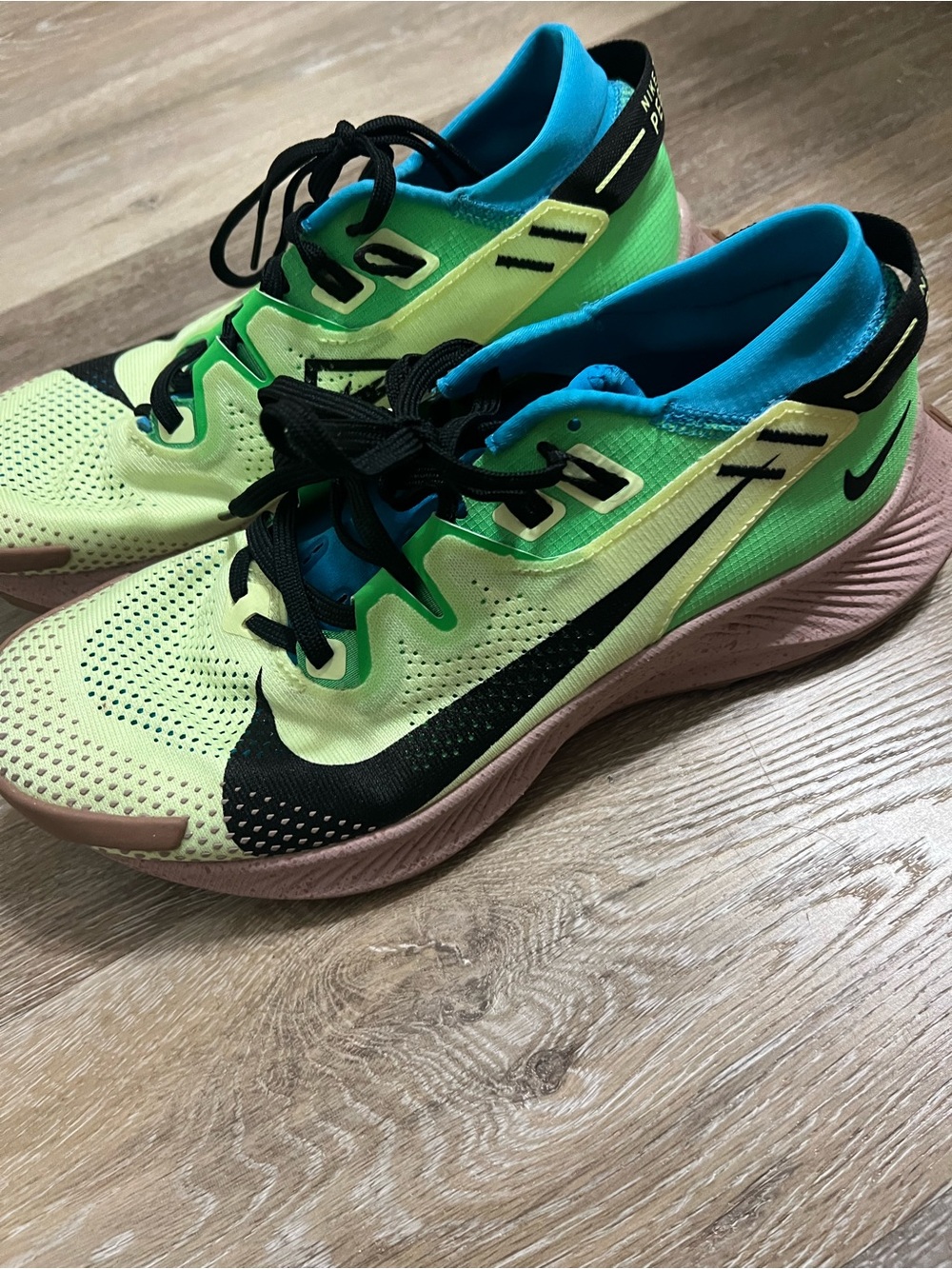 Nike Pegasus Trail 2